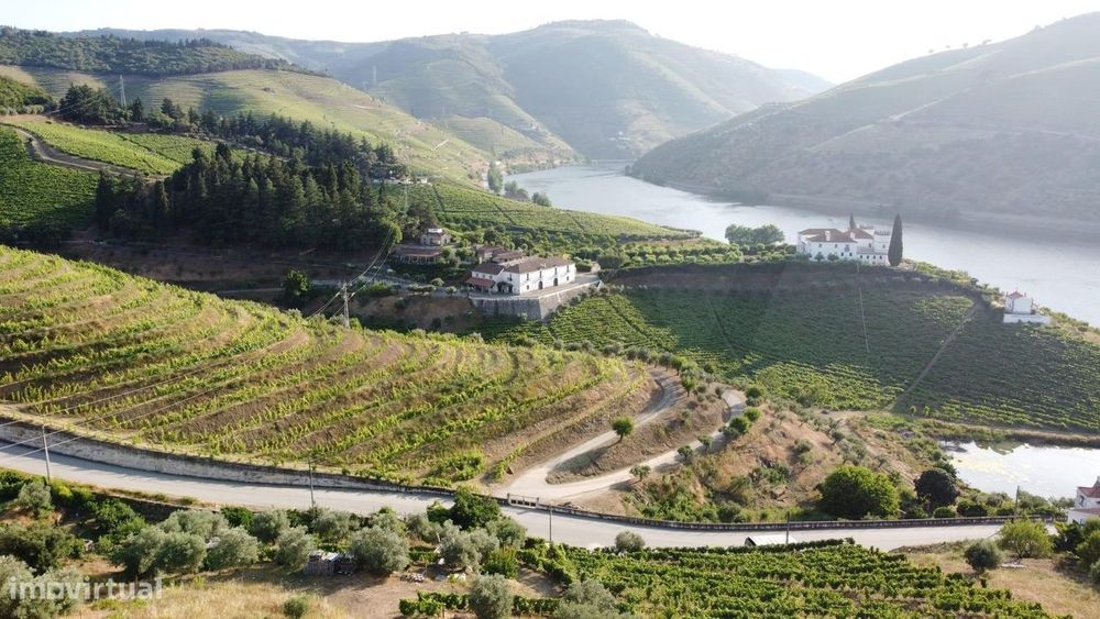 Terreno para construção de moradia no centro do Douro