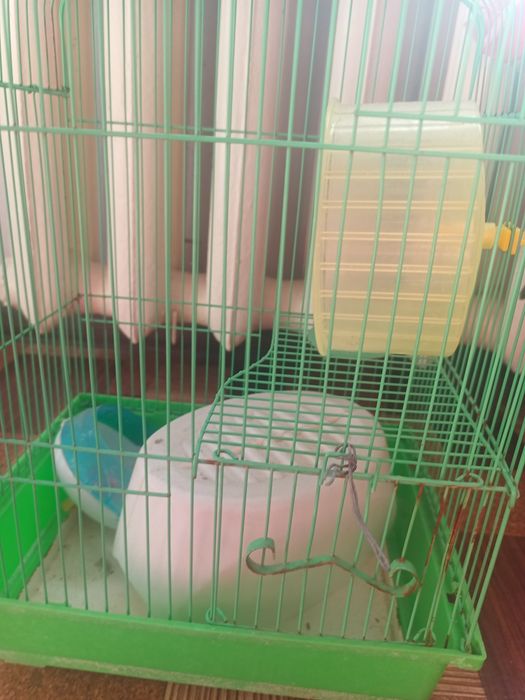 Продам клетку для хом'яків і попугаїв