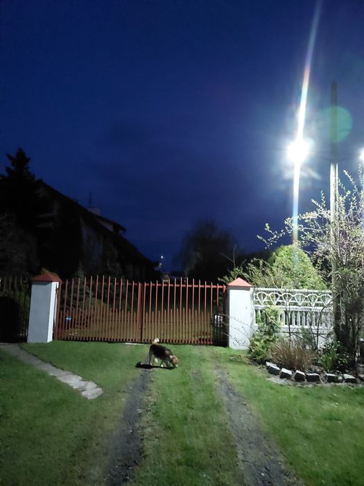 Lampa Solarna 300W Halogen LED Czujnik Ruchu i Zmierzchu + UCHWYT