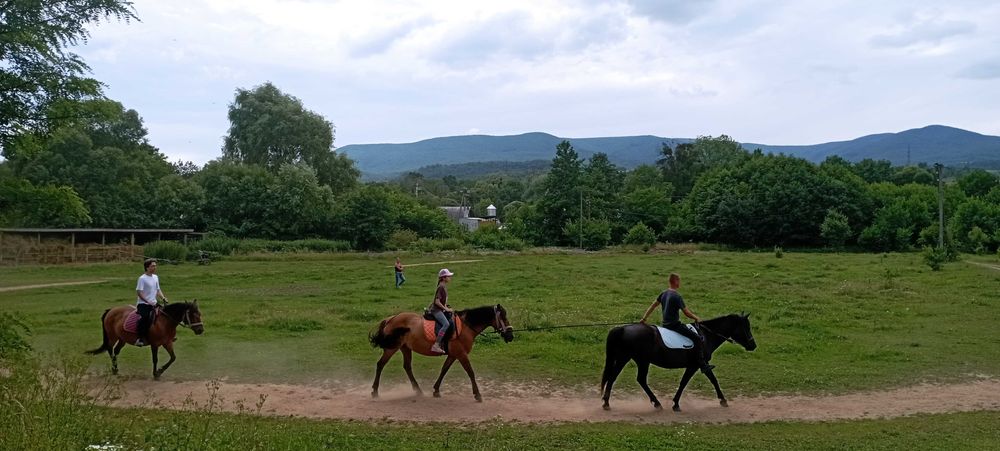 Продаємо сучасний будинок курорт Поляна