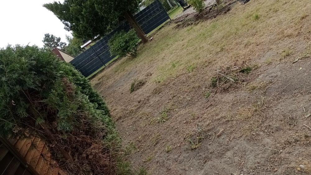 Rozbiórki/Wycinka/Karczowanie/Pracę Porządkowe/Koszenie itp