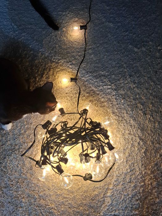 Światła led  (Girlanda ) dla Twojego domu z pilotem