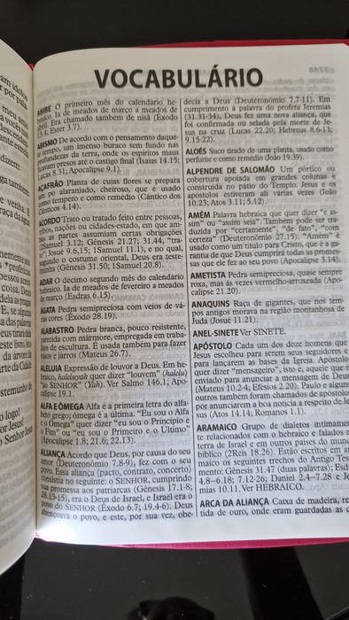 Bíblia Sagrada Letra Extra gigante NTLH | Capa Luxo Pink