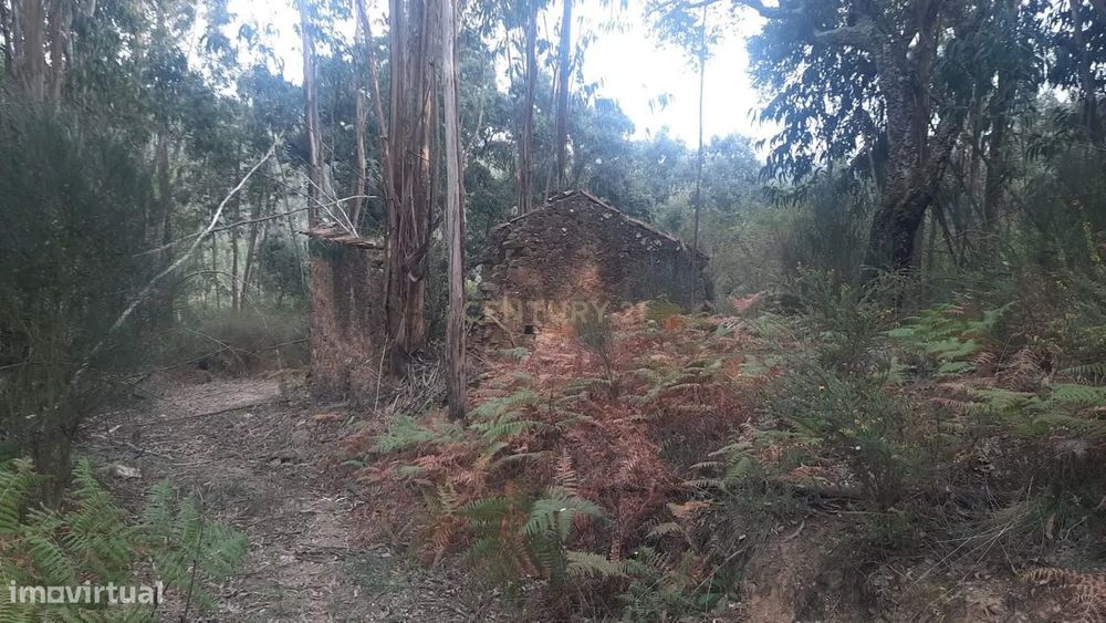 Casa em Ruína inserida em terreno com um enorme potencial — Maçãs de Dona Maria, Leiria