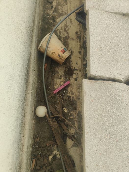 Limpeza de algerozes