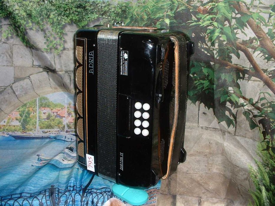 Concertinas a venda N.795 Penedono • OLX Portugal