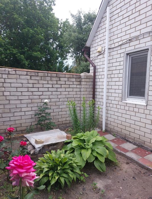 Продам 1к.кв. в Солоницевке.РАБОТАМ ПО СЕРТИФИКАТУ (Эвідновлення)