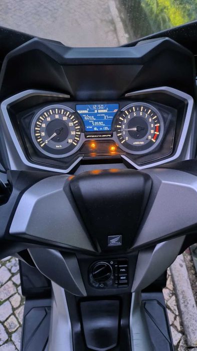 Honza Forza 300 de 2018