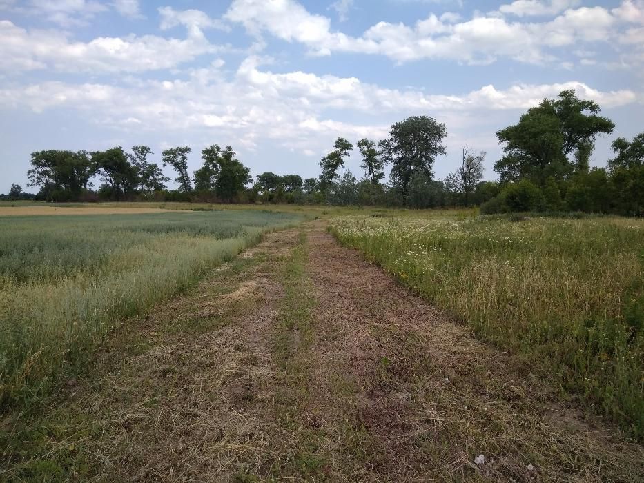 Продам земельну ділянку в с.Русанів, Броварський район, Київська обл.