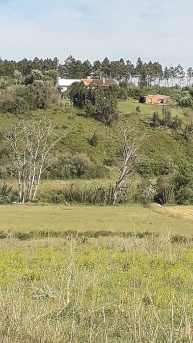 Terreno Rústico - Carrascalinho, Rogil, Aljezur