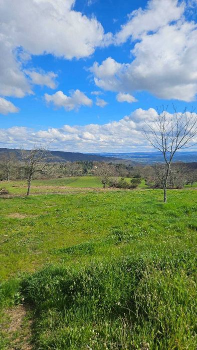 Terreno Frechão 2.2ha