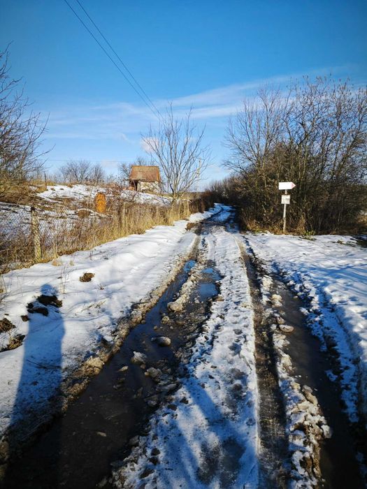 Продаж земельної ділянки для садівництва
