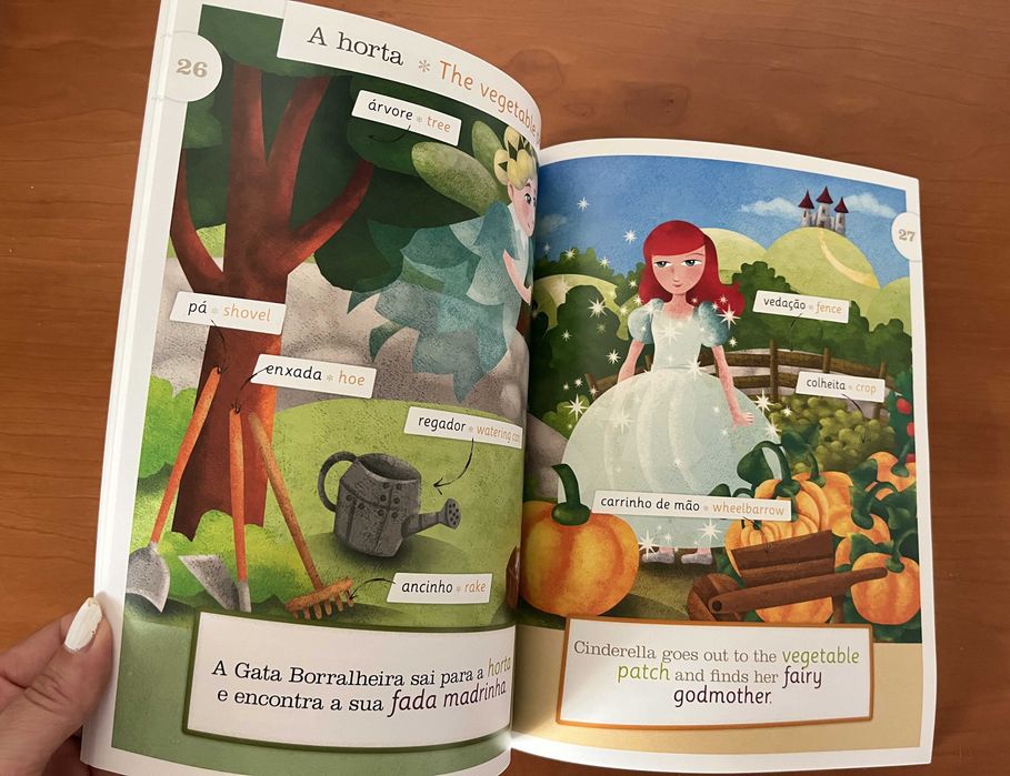 Livros / Dicionários Ilustrados de Inglês