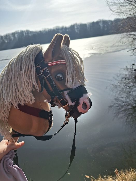 Hobby horse mes propozycje cenowe