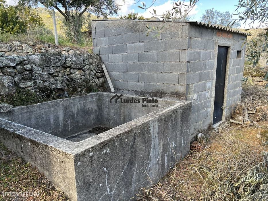 Quinta com arrecadação