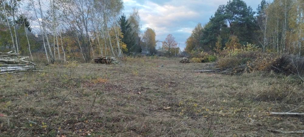 Wycinka drzew czyszczenie działek Skup drewna