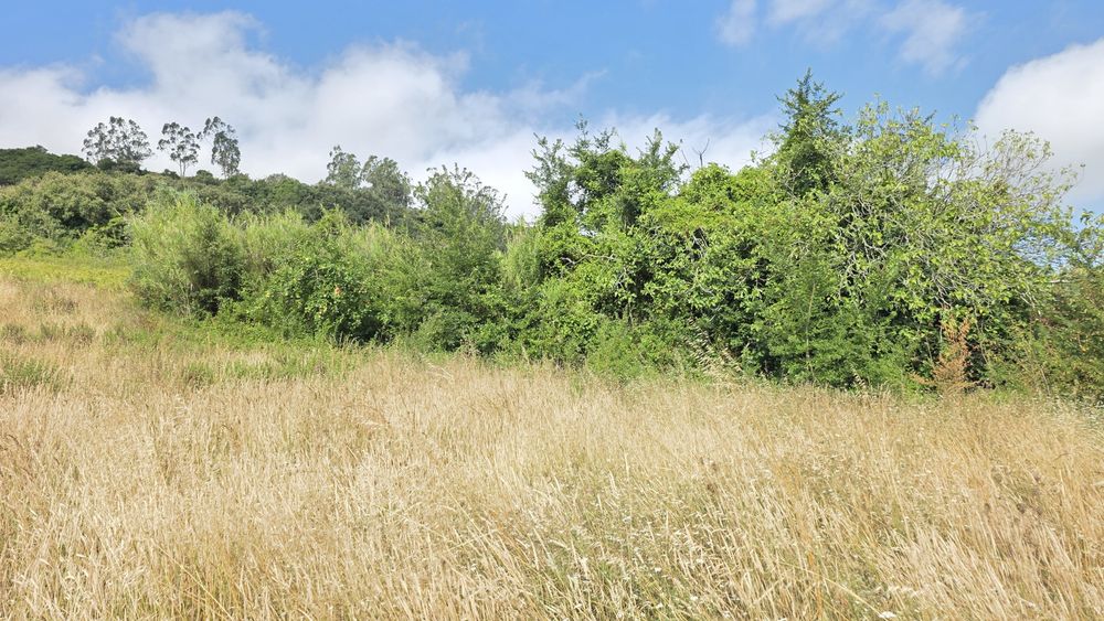 Armazém agrícola remodelado com terreno agrícola