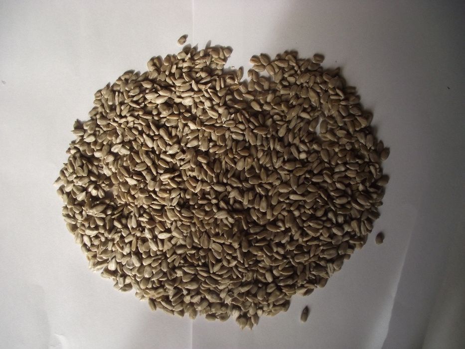 Słonecznik łuskany 25Kg NA OLEJ wysyłka GRATIS