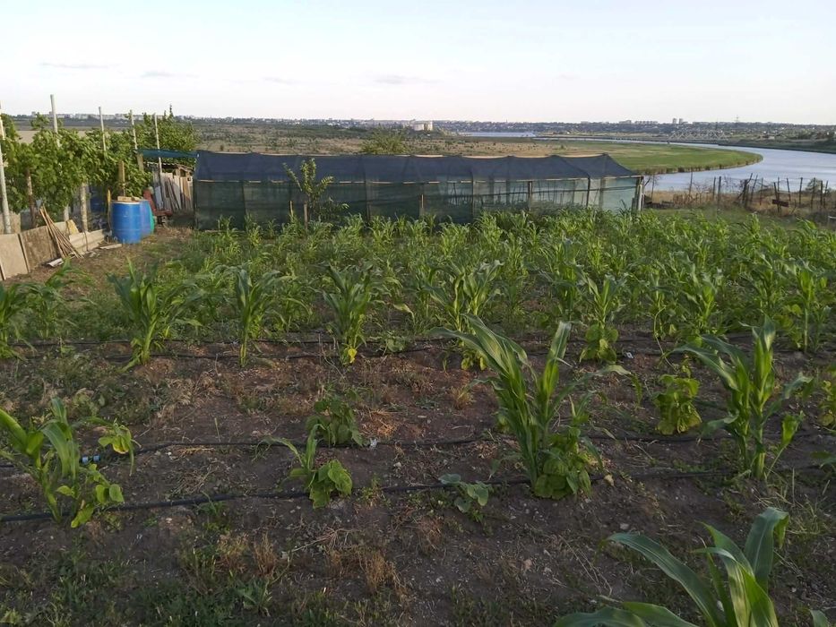 Продам участок 10 соток.  Собственник!