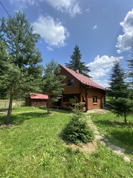 Відпочинок, на березі гірської річки, біля лісу, Ворохта.