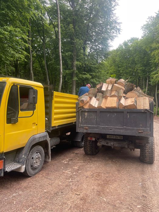 Продам дрова паливні твердої породи