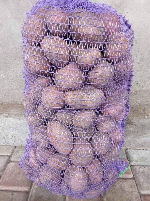 Продам картоплю 8 грн.