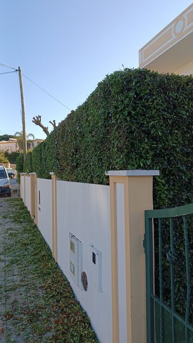 Serviços Jardinagem&Paisagismo