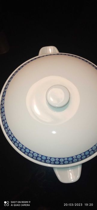 Terrina SP Coimbra (Miosótis)