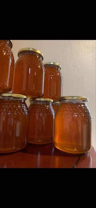 Mel de produção própria, Penacova