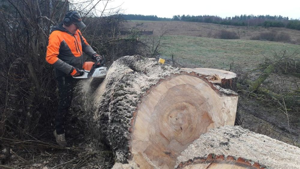 Wycinka drzew, pielęgnacja, usługi ogrodnicze, budowa pomostów tarasów