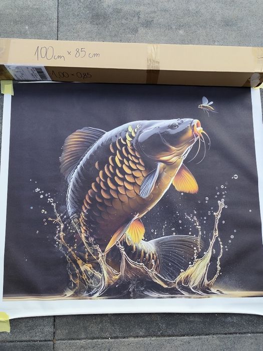 Fototapeta na ścianę Karp