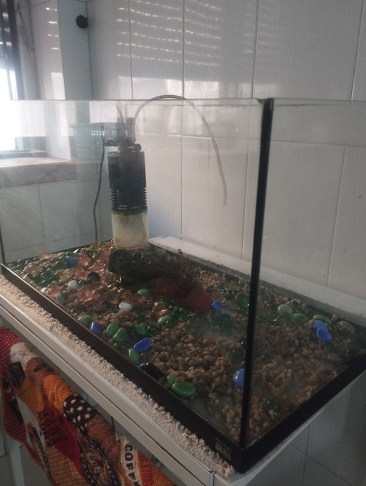 Aquário 30 litros