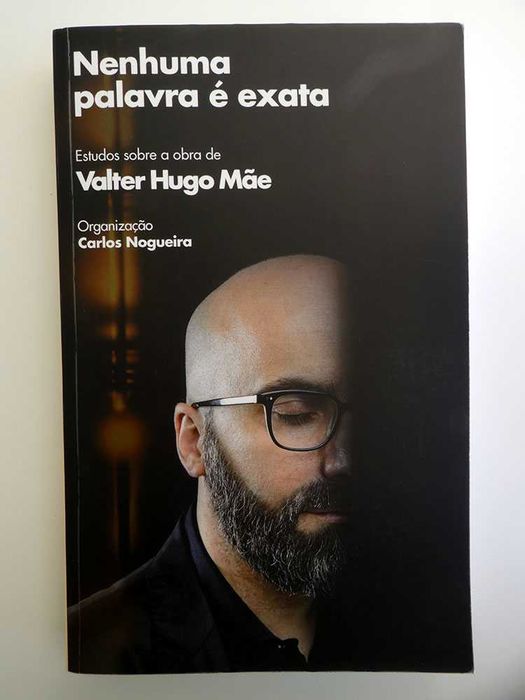 Nenhuma palavra é exata : Estudos sobre a obra de Valter Hugo Mãe