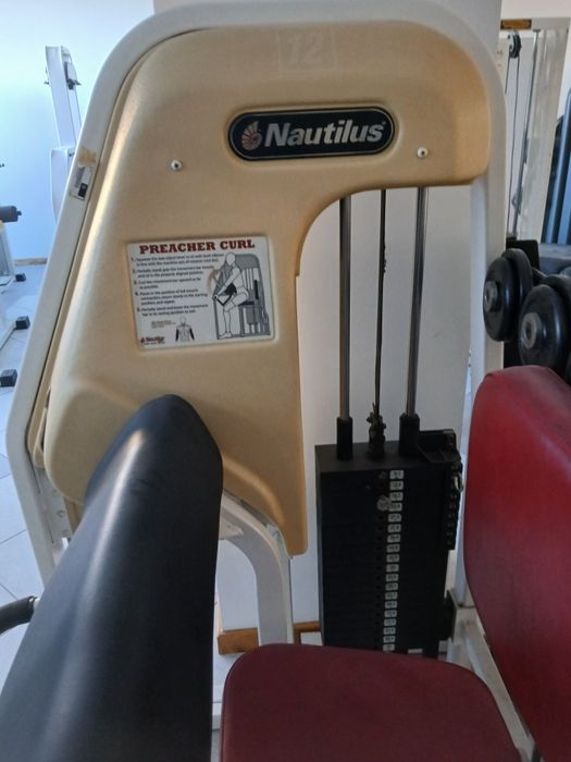 Bíceps Nautilus Preacher Curl