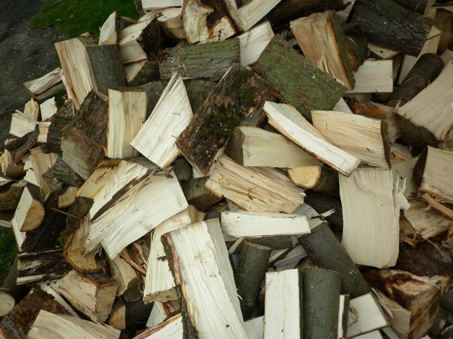 Drewno kominkowe i opałowe LIPA 30cm