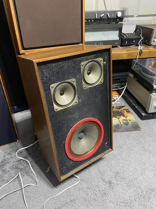 Richard Allan Chaconne idealne do lampy