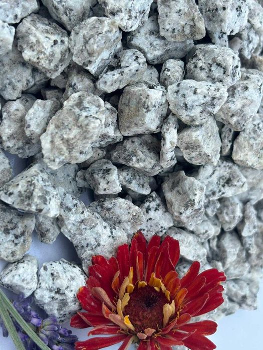 Kamień granitowy, dalmatyńczyk, grys, żwir ogrodowy, sjenit