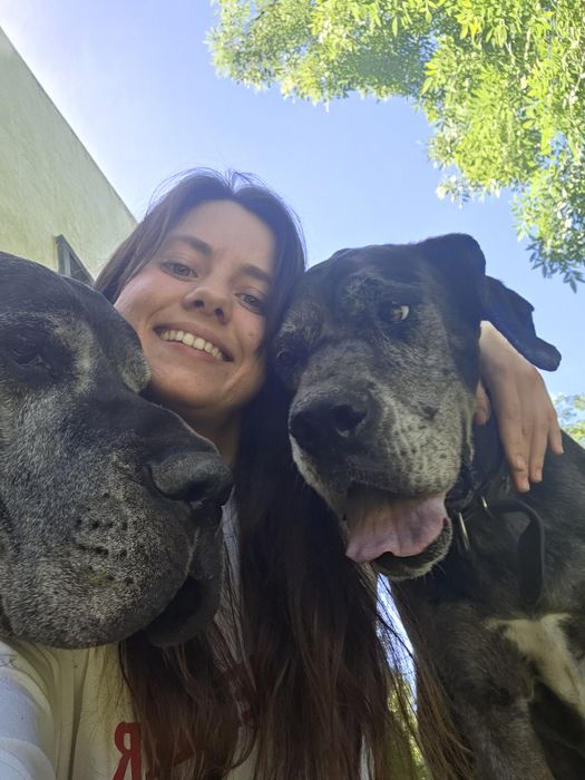 Petsitter/cuidadora de animais