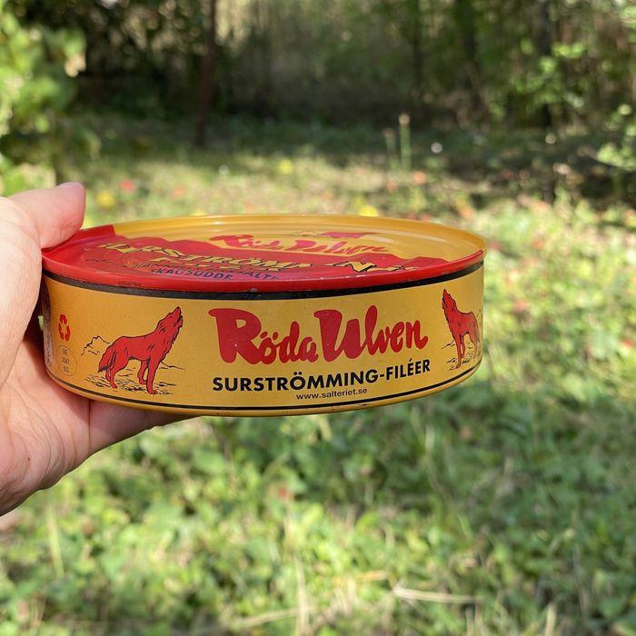 Surströmming Сюрстремінг Сюрстрёмминг сюрстреминг консерв сюрстремминг