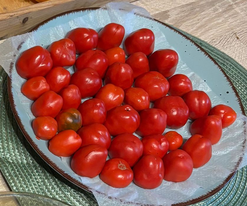 Nasiona papryki Strawberyy Bomb