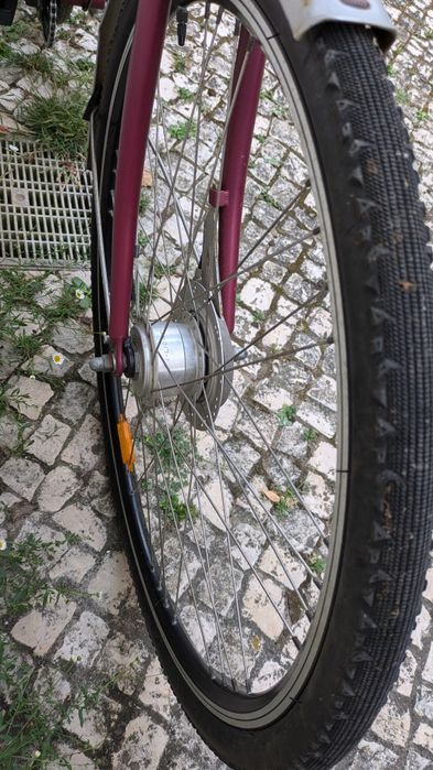 Bicicleta holandesa Sparta Apolo