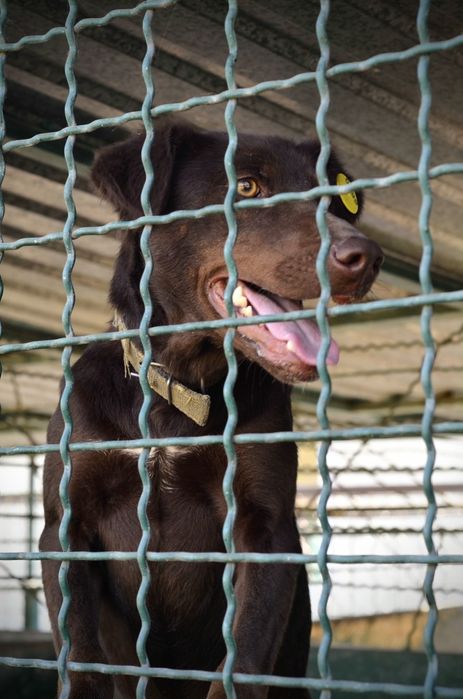 Мегаласковая, но не воспитанная Байка