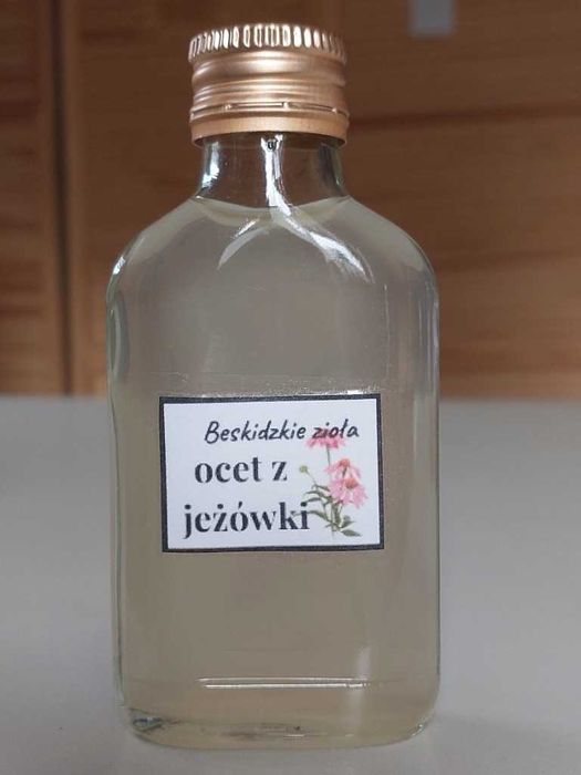 Ocet z jeżówki purpurowej, echinacea | 100 ml