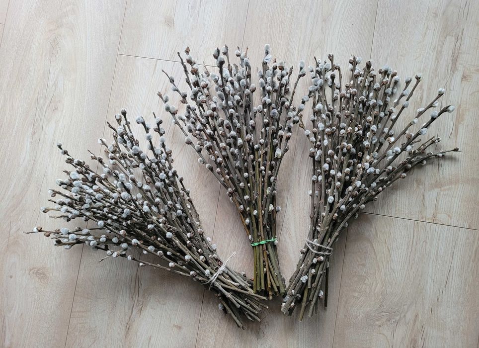 tegoroczne Bazie wielkanocne duże i małe / bukiety suszone