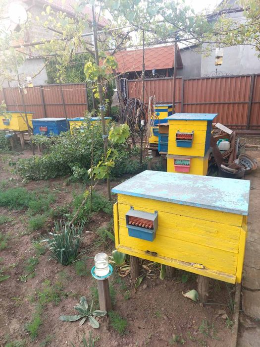 Продаю пассику в с. Визирка