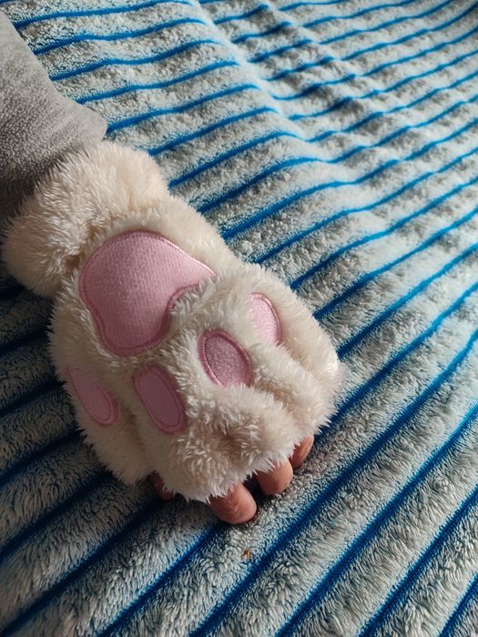 Рукавички   лапки