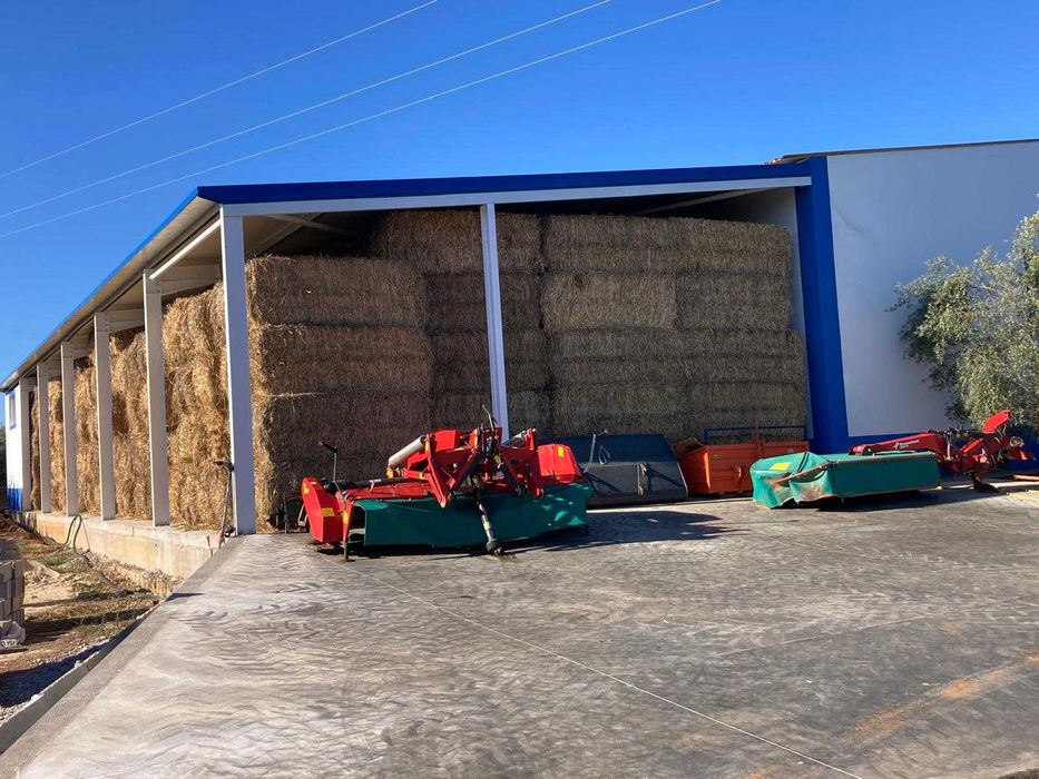 Fardos de Azevem 80/90