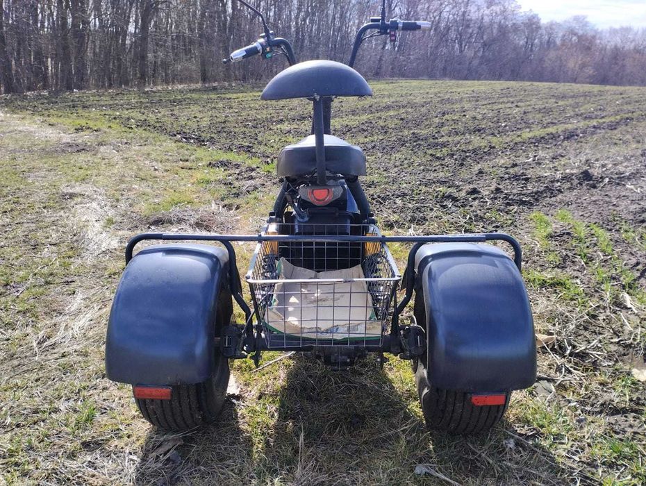 Citycoco Trioл 60в 2000w