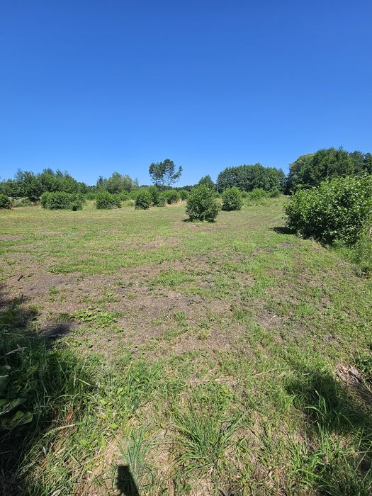Działka Glinik 22 a - Widok 2