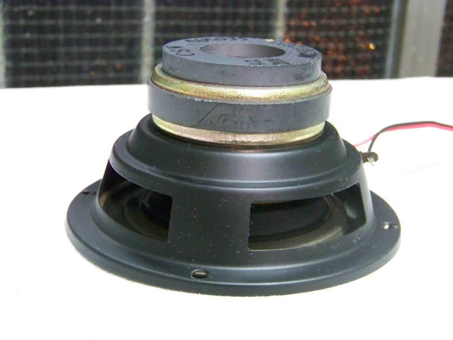 CSW Speaker with 20 Watts64174827148803121